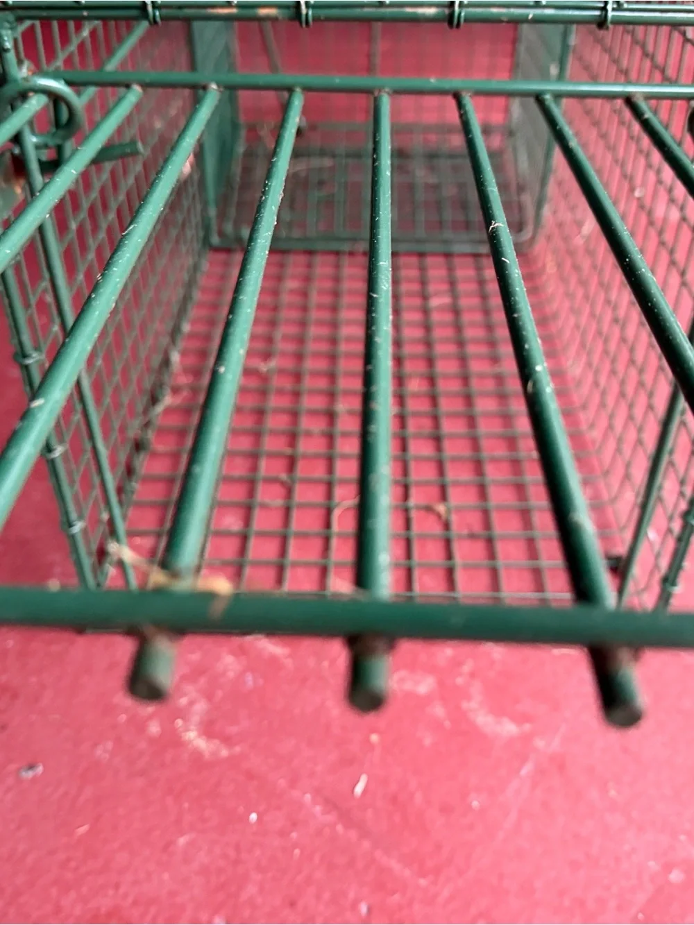 Duke Traps HD Large Cage Trap with Top Carry Handle